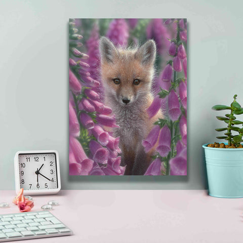 Image of 'Fox Gloves' by Collin Bogle, Canvas Wall Art,12x16