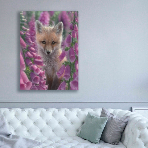 Image of 'Fox Gloves' by Collin Bogle, Canvas Wall Art,40x54