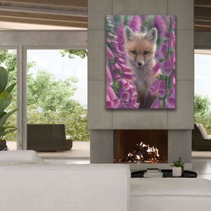 'Fox Gloves' by Collin Bogle, Canvas Wall Art,40x54