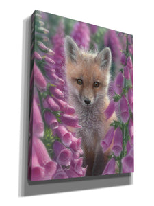 'Fox Gloves' by Collin Bogle, Canvas Wall Art,Size C Portrait