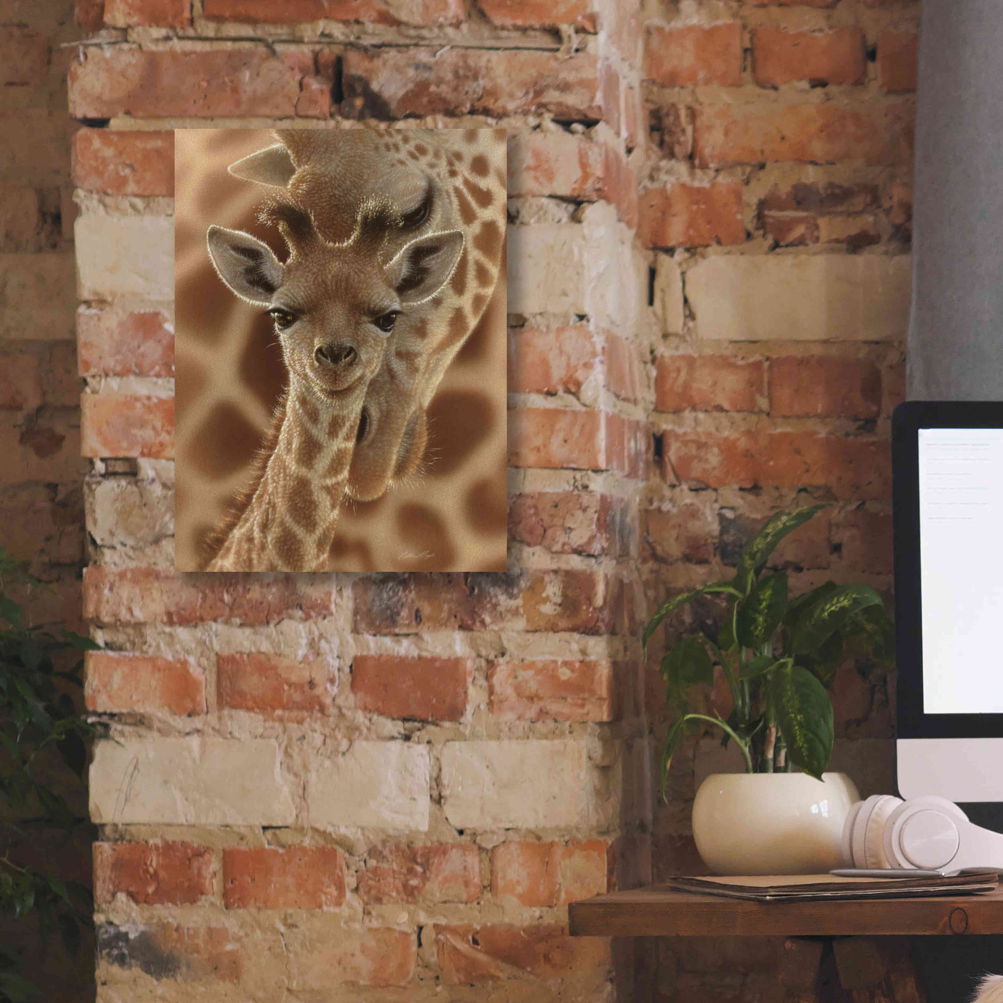 'New Born' by Collin Bogle, Canvas Wall Art,12x16