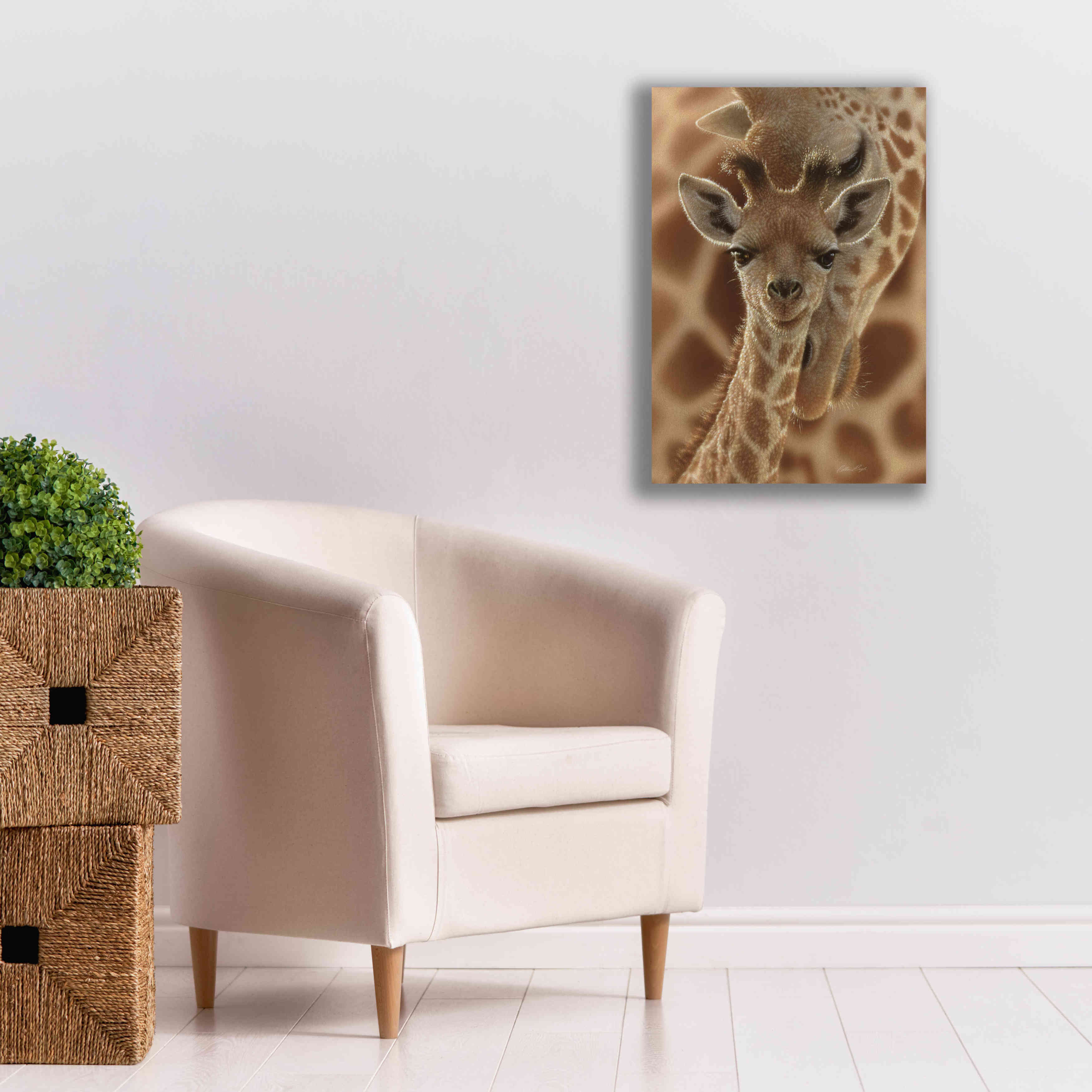 'New Born' by Collin Bogle, Canvas Wall Art,18x26