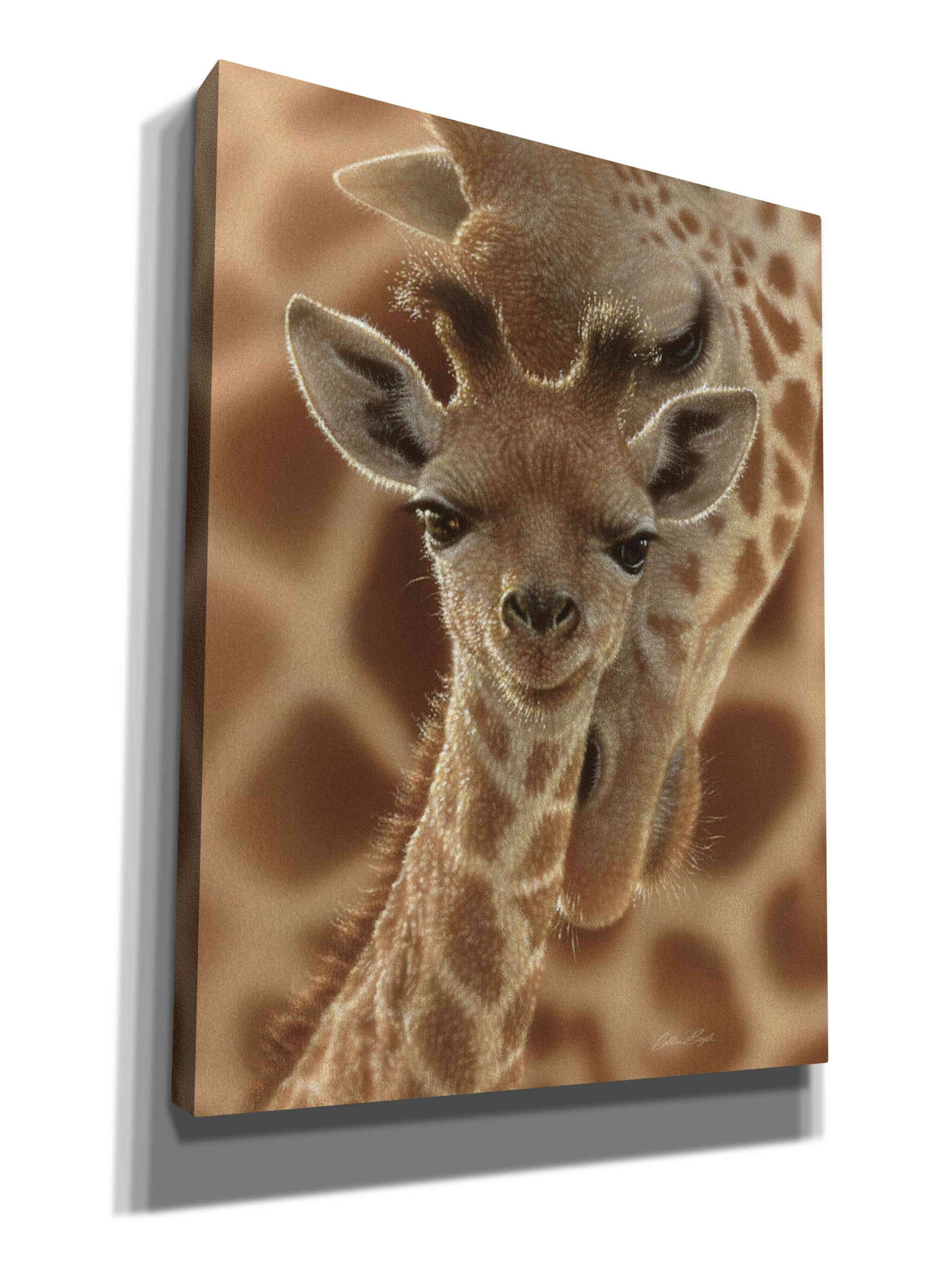 'New Born' by Collin Bogle, Canvas Wall Art,Size B Portrait