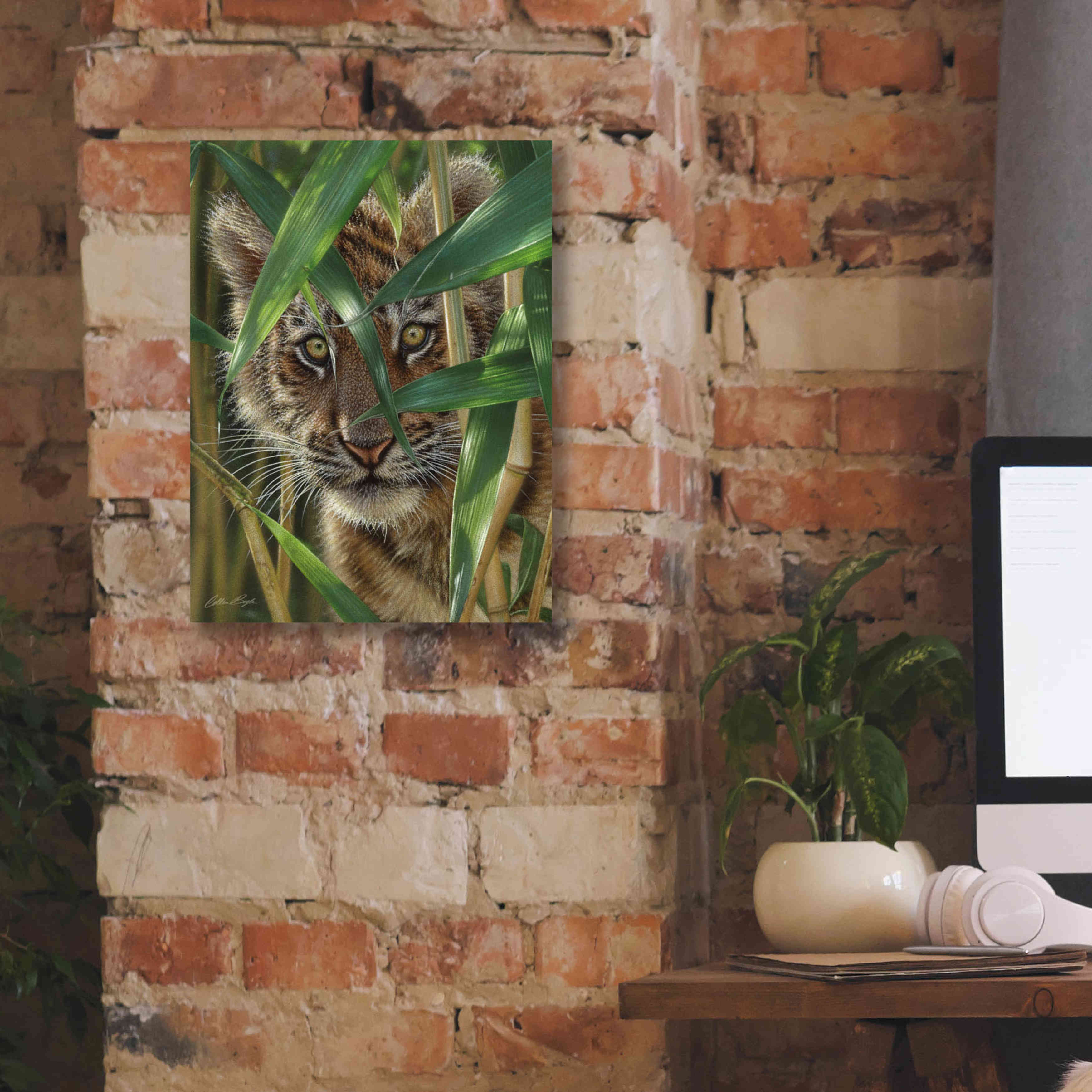 'Peekaboo' by Collin Bogle, Canvas Wall Art,12x16