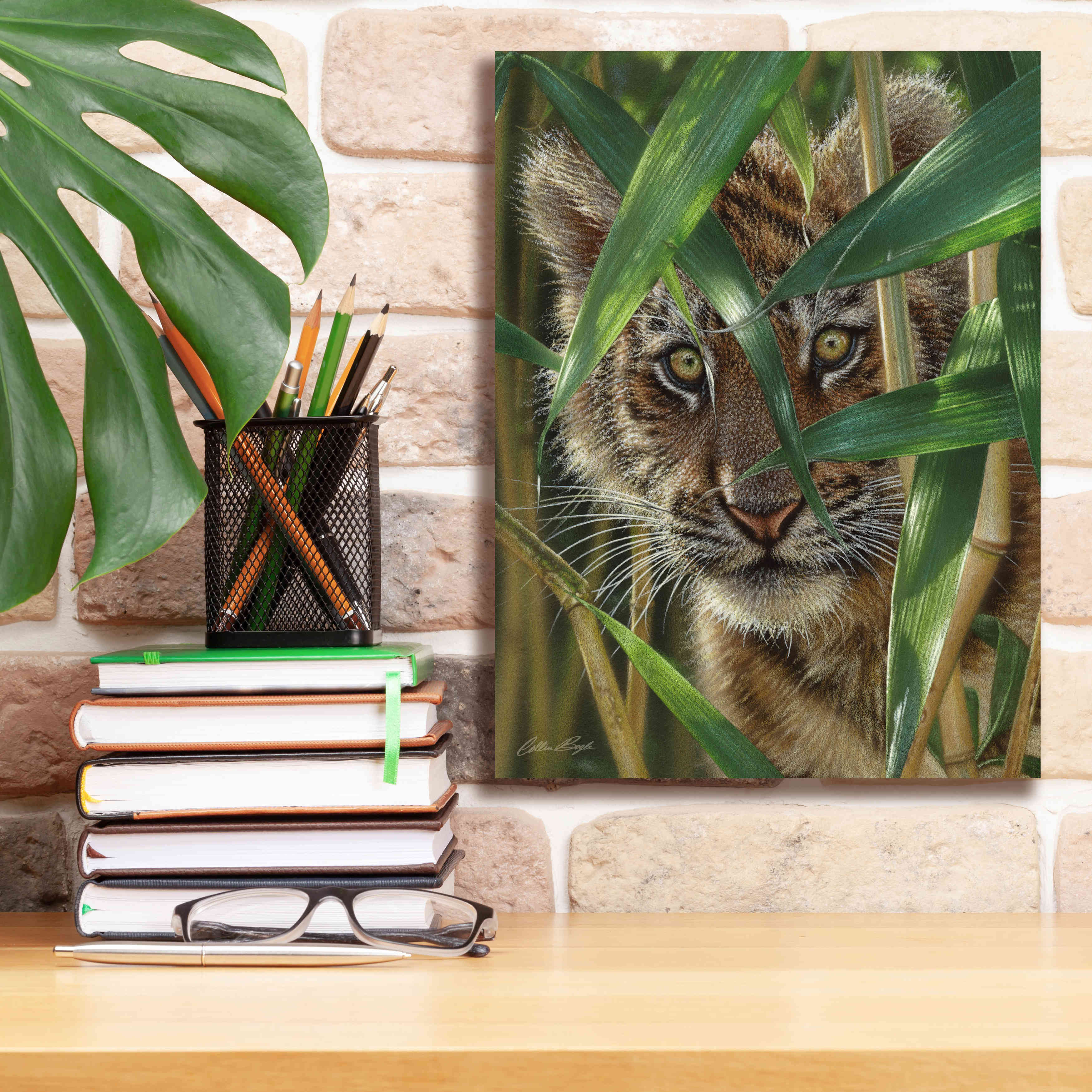 'Peekaboo' by Collin Bogle, Canvas Wall Art,12x16