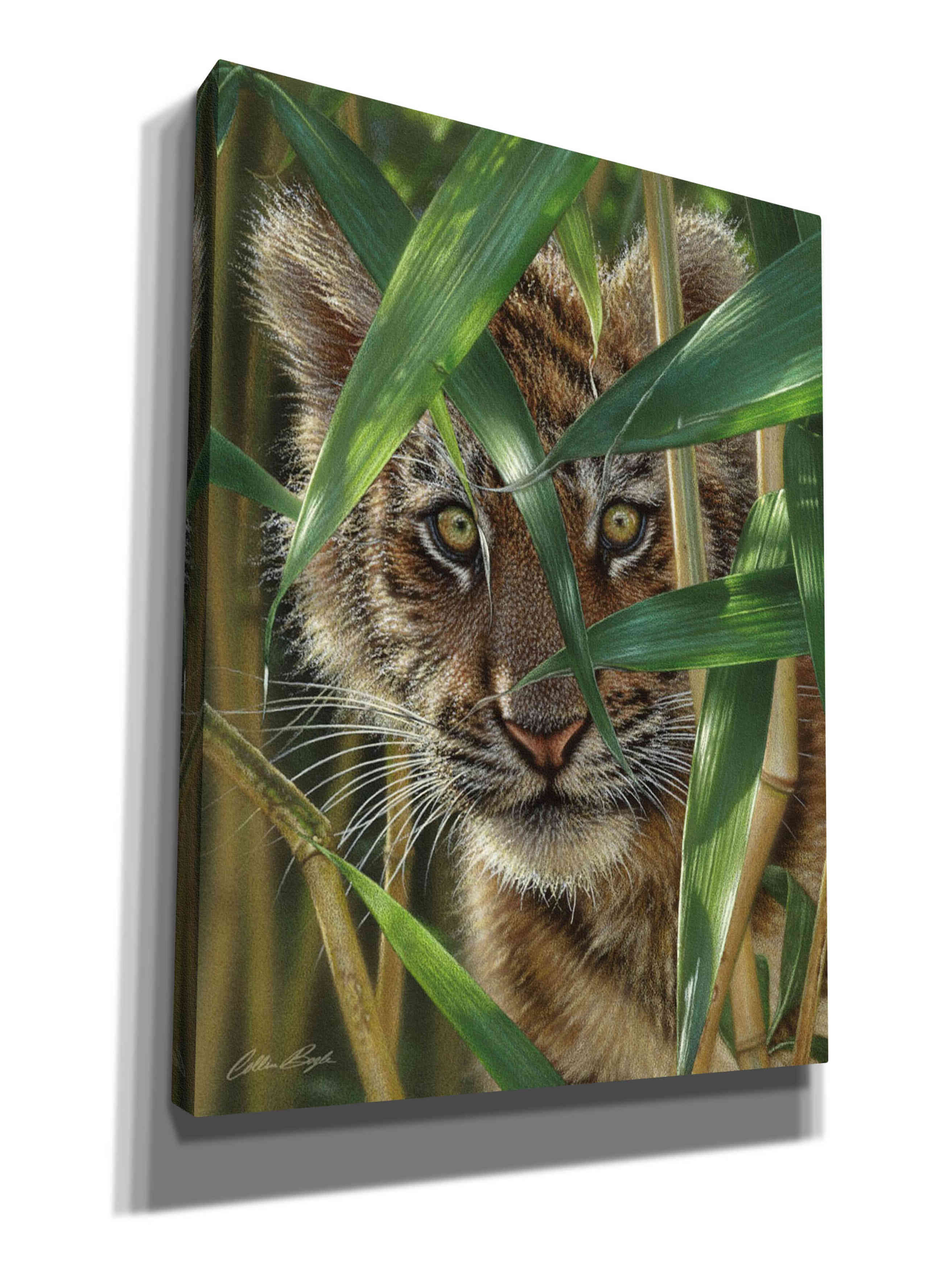 'Peekaboo' by Collin Bogle, Canvas Wall Art,Size C Portrait