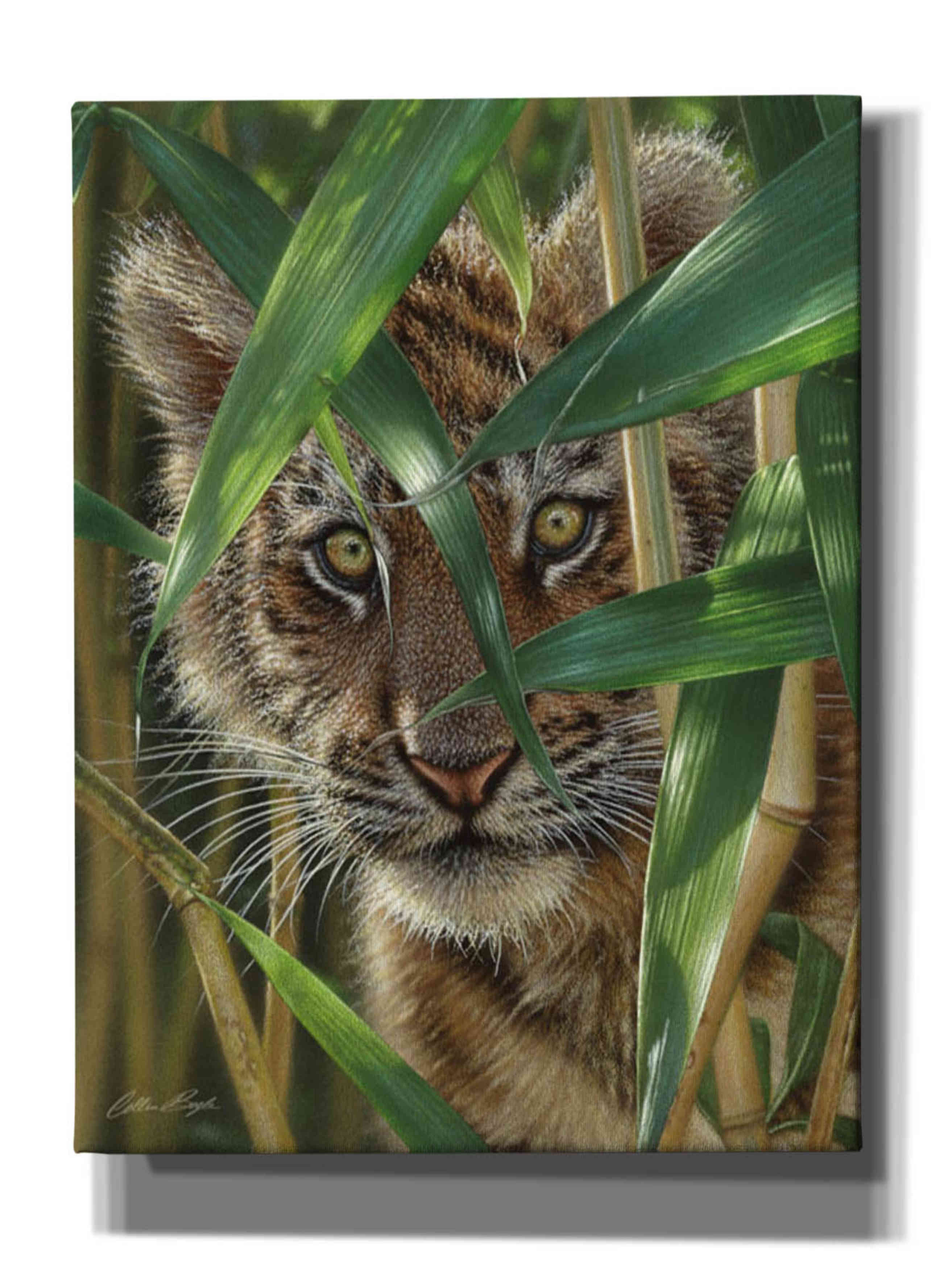'Peekaboo' by Collin Bogle, Canvas Wall Art,Size C Portrait