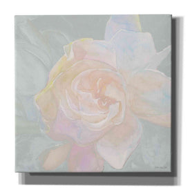 'Rose Bouquet 2' by Stellar Design Studio, Canvas Wall Art
