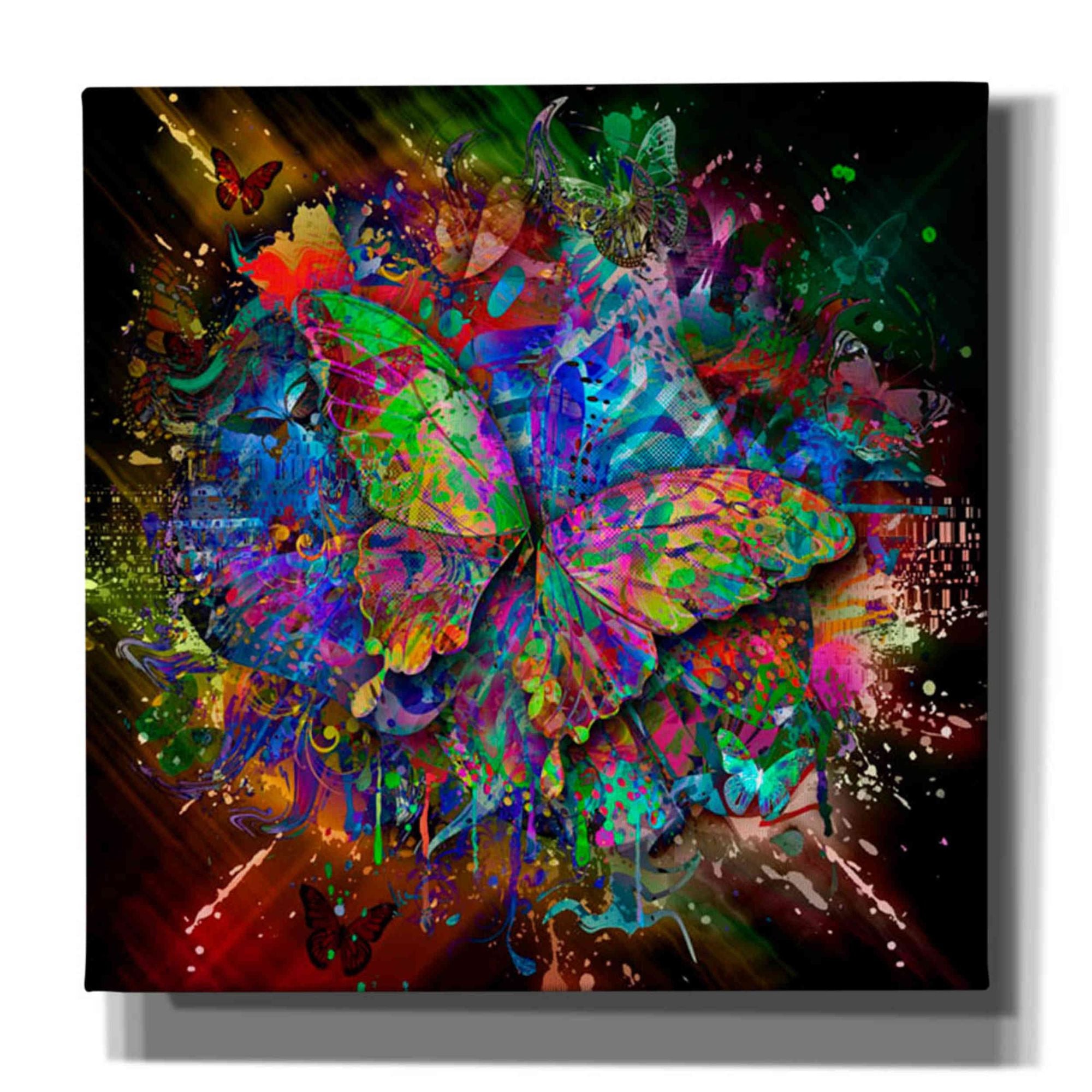 'Monarch' Canvas Wall Art