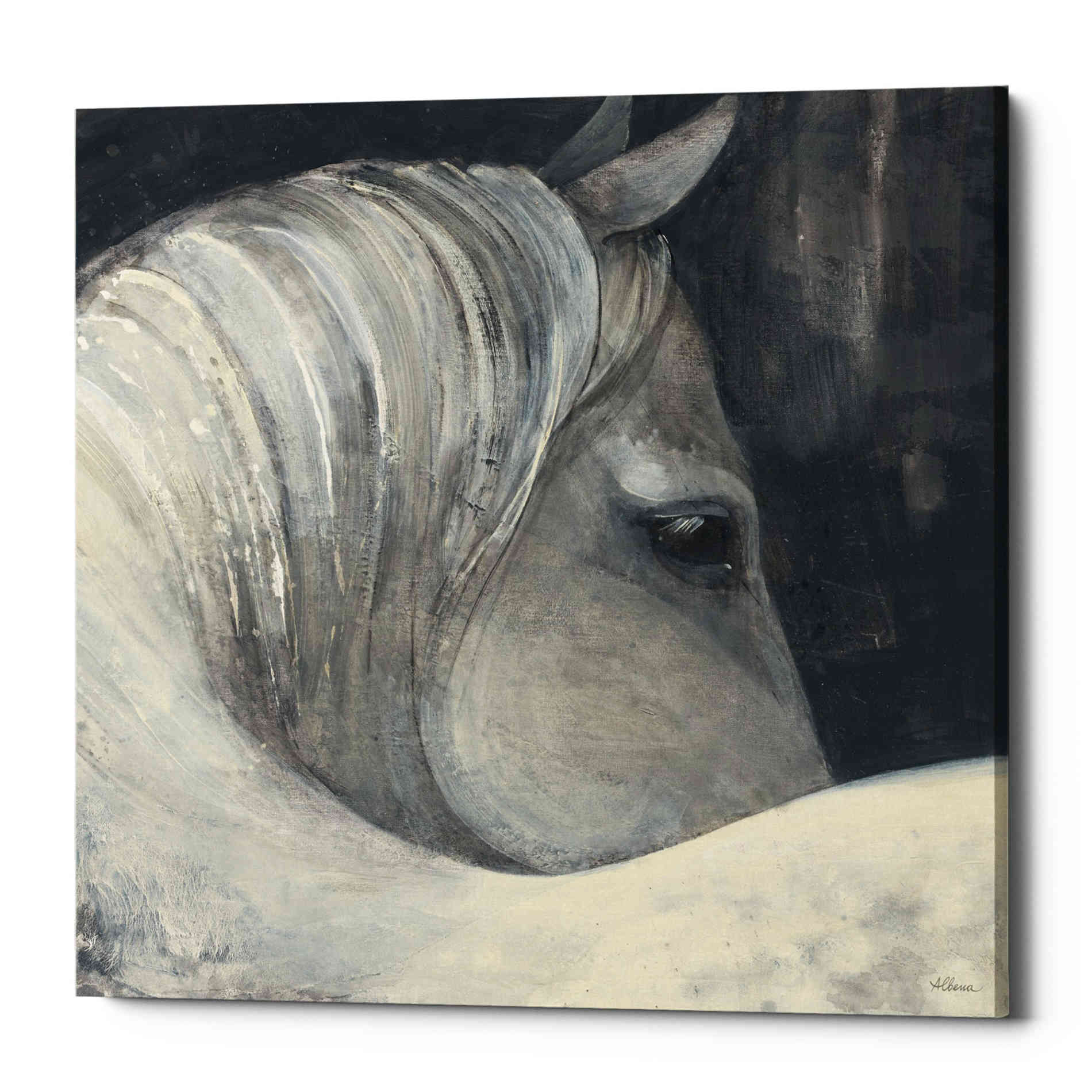 'Bijou' by Albena Hristova, Canvas Wall Art