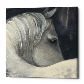 'Bijou' by Albena Hristova, Canvas Wall Art