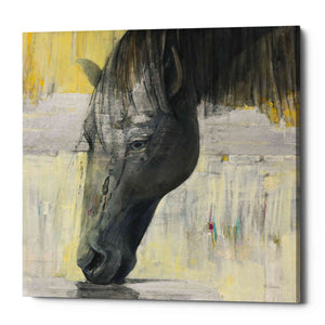 'Caleb' by Albena Hristova, Canvas Wall Art