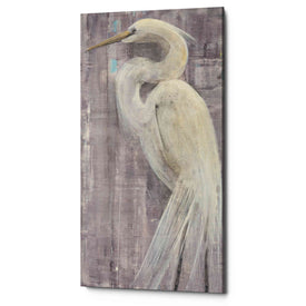 'Coastal Egret II Legs' by Albena Hristova, Canvas Wall Art