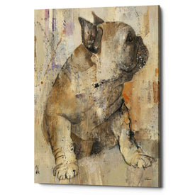 'Duke' by Albena Hristova, Canvas Wall Art