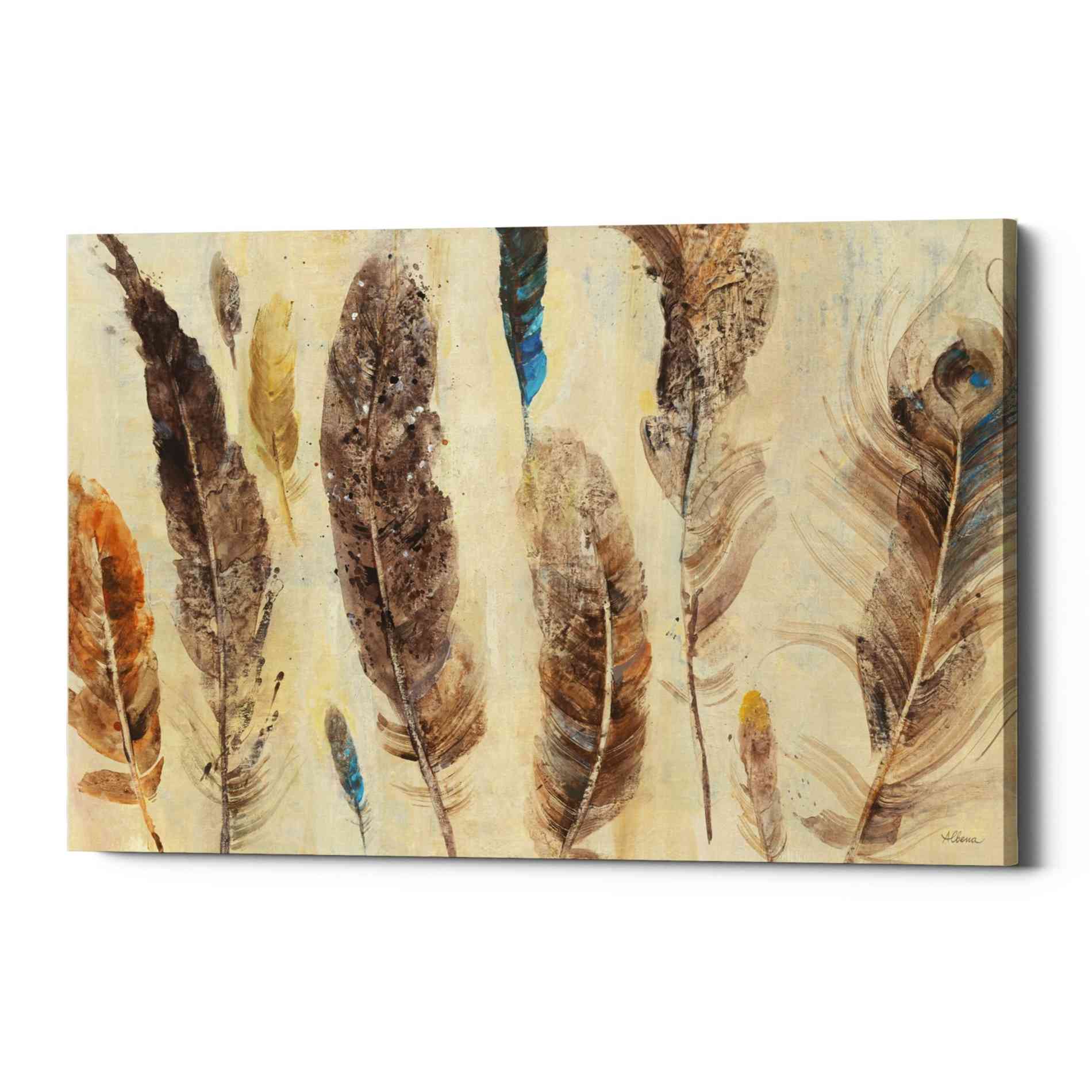 'Feather Study' by Albena Hristova, Canvas Wall Art