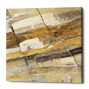 'Gold Streak' by Albena Hristova, Canvas Wall Art