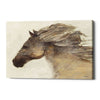 'Into the Wind Ivory Crop' by Albena Hristova, Canvas Wall Art