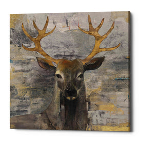 'The Leader Gold Light Grey' by Albena Hristova, Canvas Wall Art