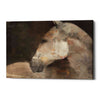 'Looking Back' by Albena Hristova, Canvas Wall Art