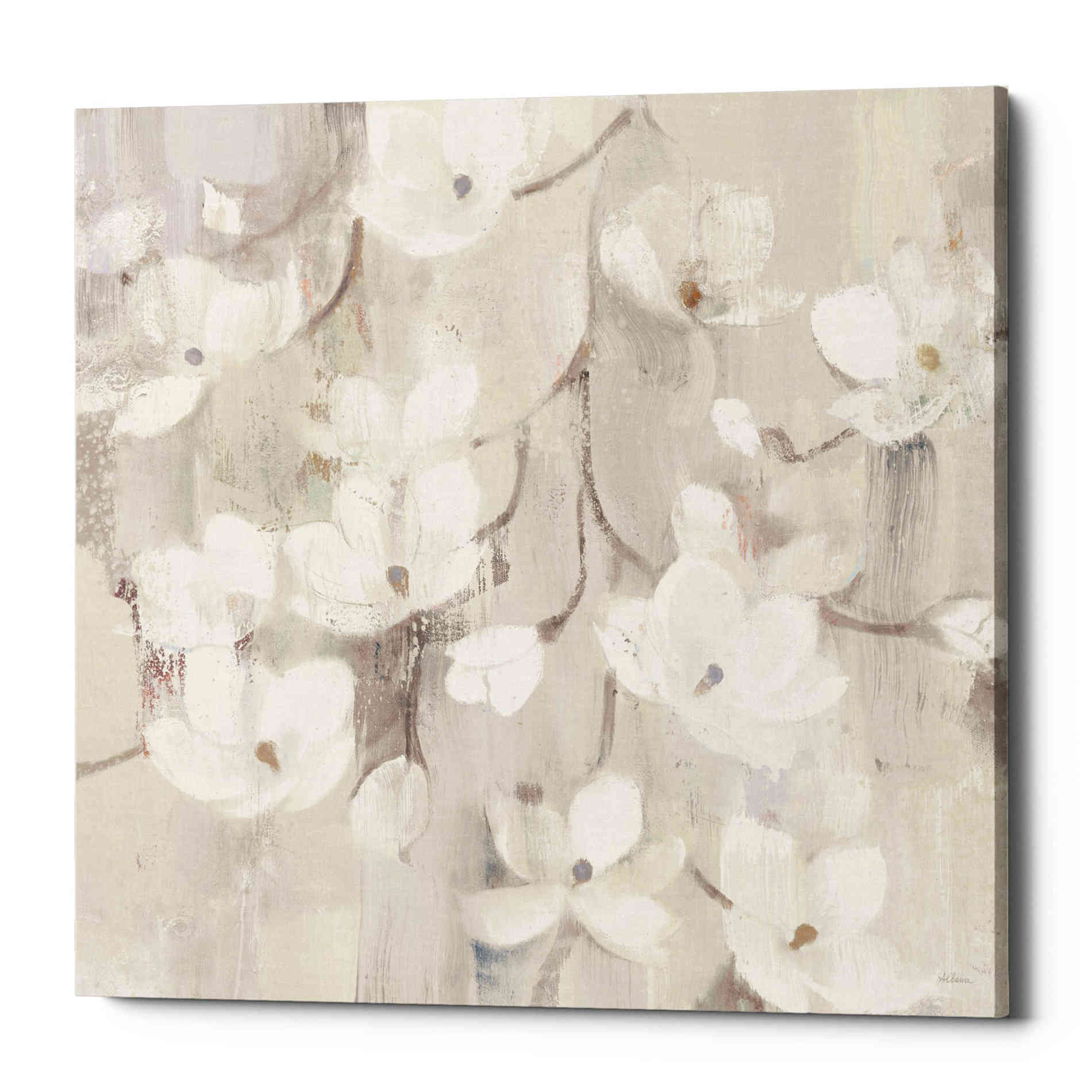 'Magnolias in Spring II Neutral' by Albena Hristova, Canvas Wall Art