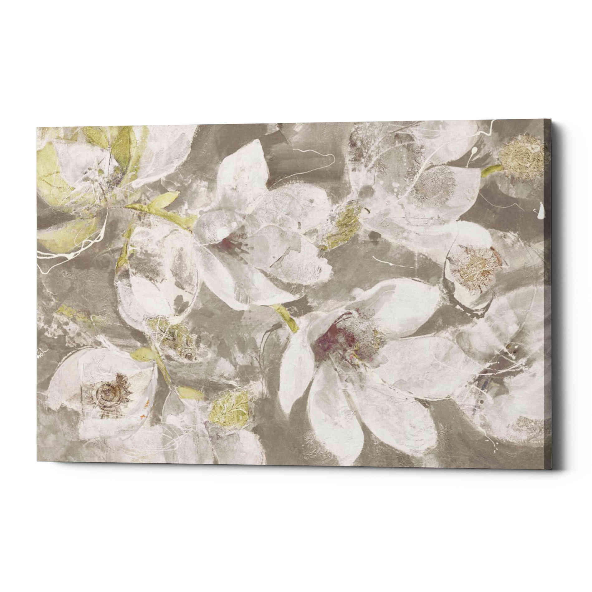 'Magnolias in Bloom Greige' by Albena Hristova, Canvas Wall Art