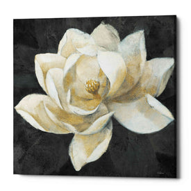 'Majestic Magnolia Neutral Sq' by Albena Hristova, Canvas Wall Art