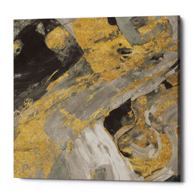 'Moab Gold and Black' by Albena Hristova, Canvas Wall Art