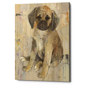 'Paco v2' by Albena Hristova, Canvas Wall Art