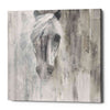 'Shadow Gray' by Albena Hristova, Canvas Wall Art