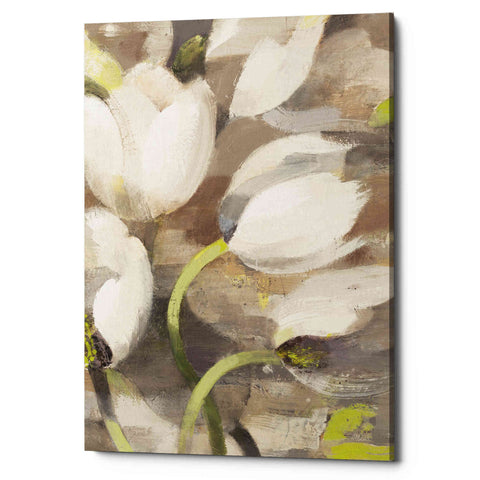 Image of 'Tulip Delight II' by Albena Hristova, Canvas Wall Art