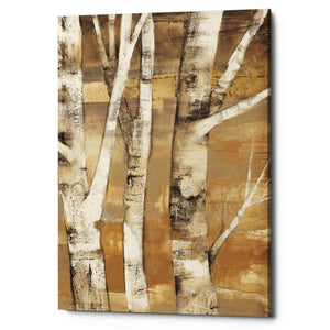 'Wandering Through the Birches II' by Albena Hristova, Canvas Wall Art