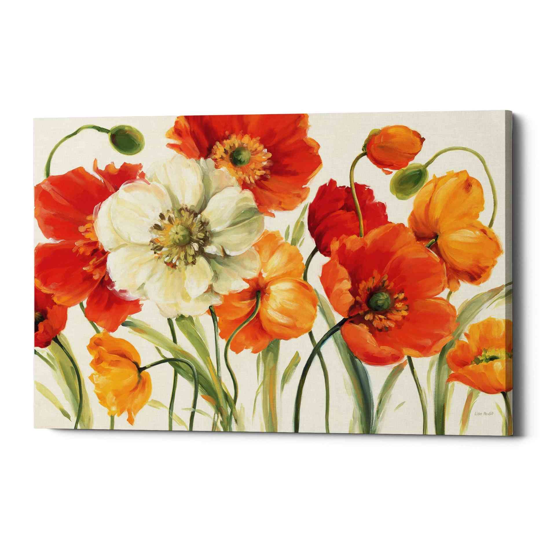 'Poppies Melody I' by Lisa Audit, Canvas Wall Art,