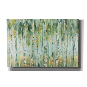 'The Forest I' by Lisa Audit, Canvas Wall Art,