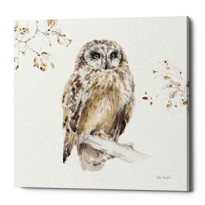 'Woodland Walk VIII' by Lisa Audit, Canvas Wall Art,