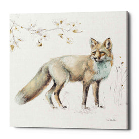 'Woodland Walk XI' by Lisa Audit, Canvas Wall Art,