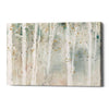 'Woodland Walk I' by Lisa Audit, Canvas Wall Art,