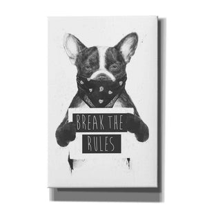'Rebel Dog' by Balazs Solti, Giclee Canvas Wall Art