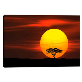 'Circle of Life' Canvas Wall Art