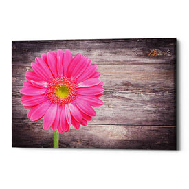 'Friendship' Canvas Wall Art