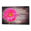 'Friendship' Canvas Wall Art
