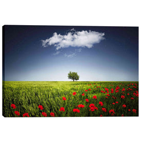 'Lone Tree in a Poppy Field' Canvas Wall Art