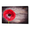'Luxury On Rustic' Canvas Wall Art