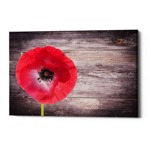 'Luxury On Rustic' Canvas Wall Art