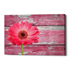 'Pink Beginnings' Canvas Wall Art