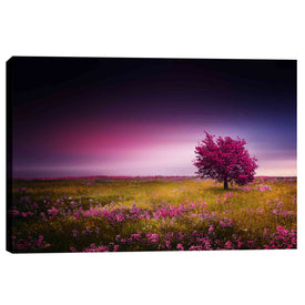 'Pink Nights' Canvas Wall Art