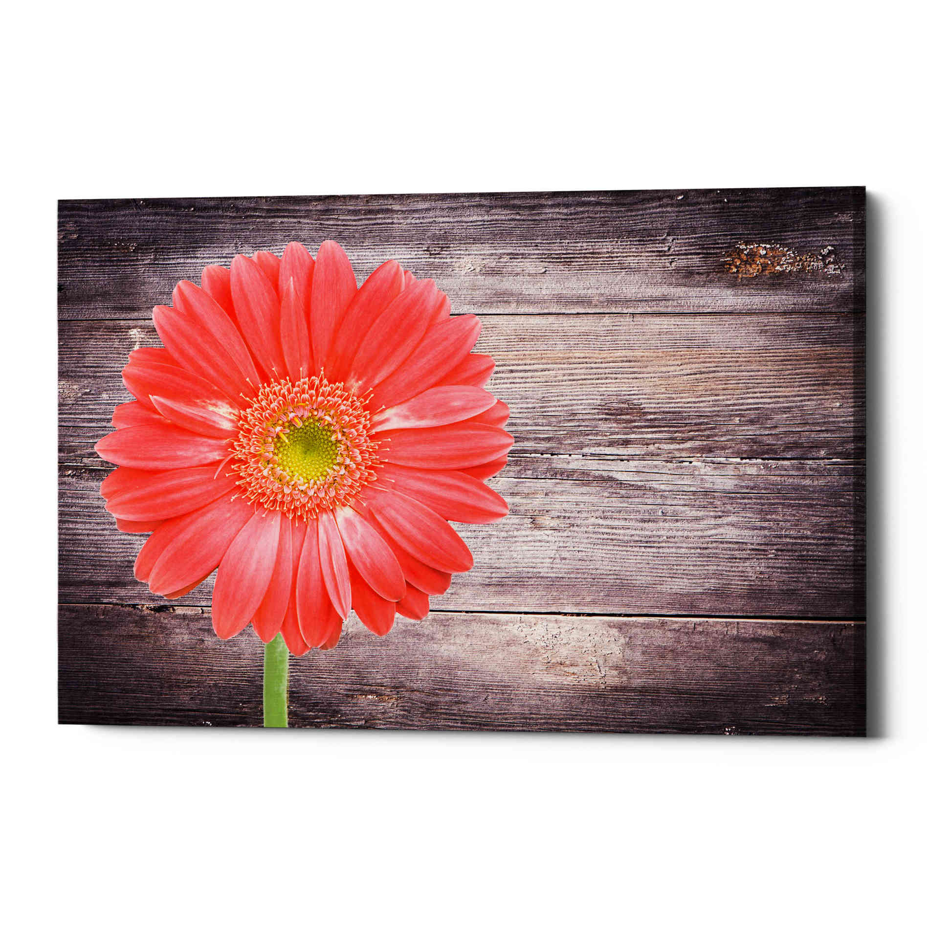 'Vitamin C' Canvas Wall Art