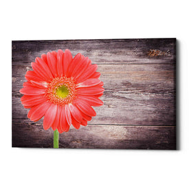 'Vitamin C' Canvas Wall Art