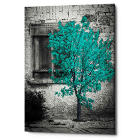 'Wisdom' Canvas Wall Art