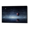 'Wood Series: One Air Balloon' Canvas Wall Art
