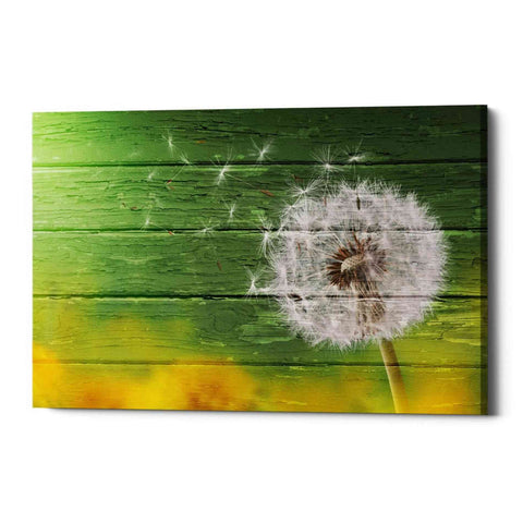 Image of 'Wood Series: Dandi Green' Canvas Wall Art